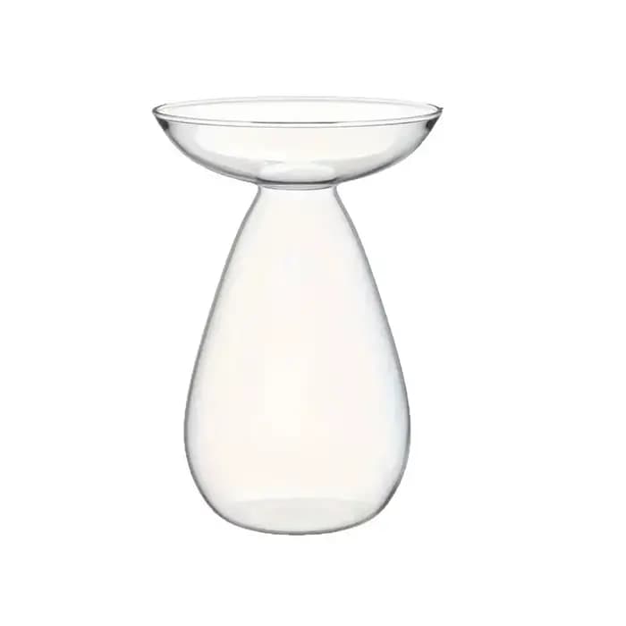 Vase hydroponique d'avocat, Station de Propagation de plantes transparente, Vase de fleurs d'arbre d