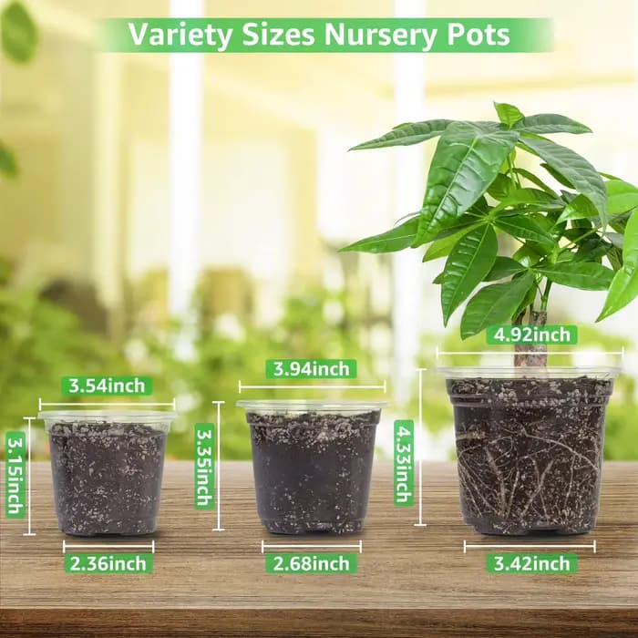 Pots de pépinière transparents de 3.5/4/5 pouces, jardinière en plastique Transparent avec trous de 