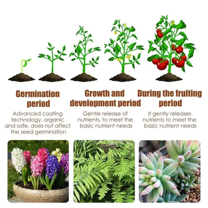 Engrais à libération lente contrôlé spécial 120 jours pour plantes succulentes, engrais granulaire n