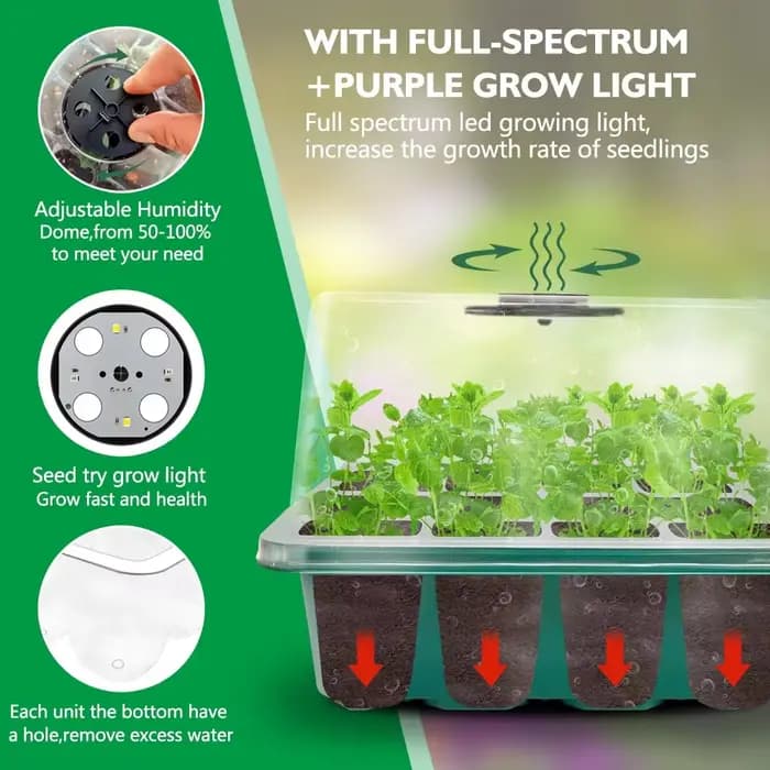 Plateaux de démarrage pour plantes, pots de pépinière à LED avec lumière de croissance, lampe Lauren