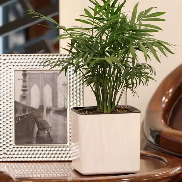 Jardinière blanche à arrosage automatique, indicateur d'eau, Pot de jardinière décoratif moderne pou