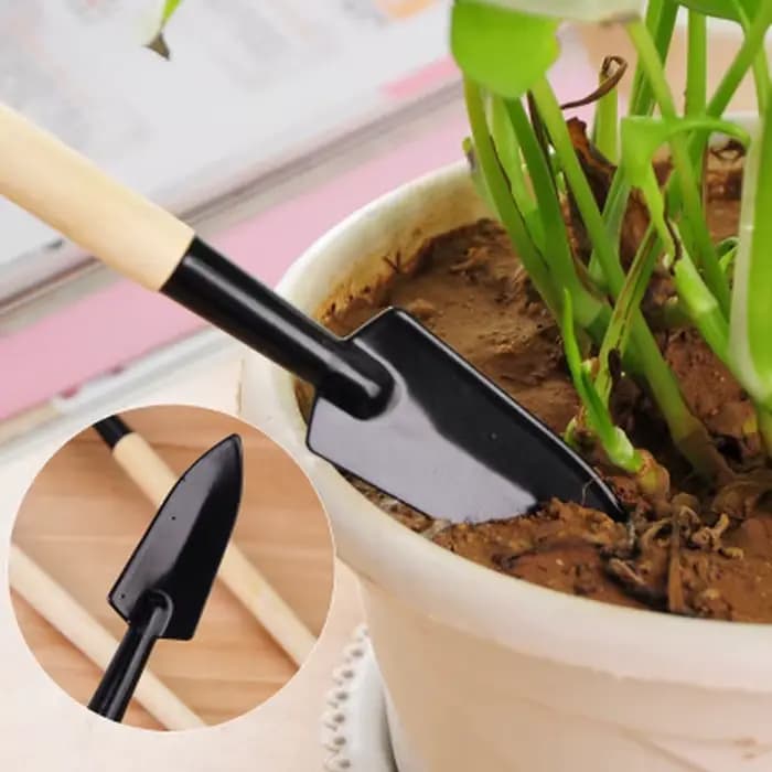 Outil de bonsaï en Pot pour plantes, Kit de jardinage, pelle, Pot de fleur, Mini râteau à pelle, man