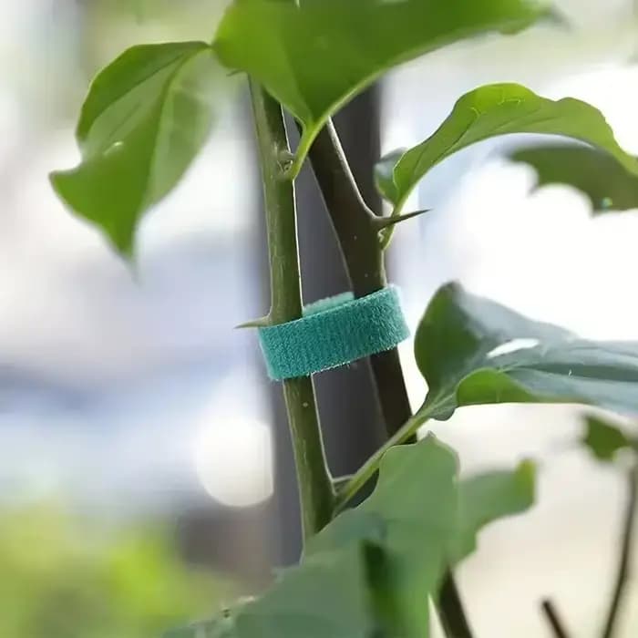 Bande de Support pour plantes en Nylon, attache de câble de fixation auto-adhésive pour plantes de j