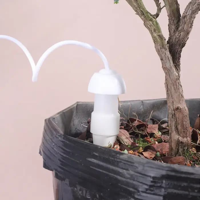 2 Piques d'arrosage automatiques en céramique pour plantes en pot, intérieur/extérieur, dispositif d