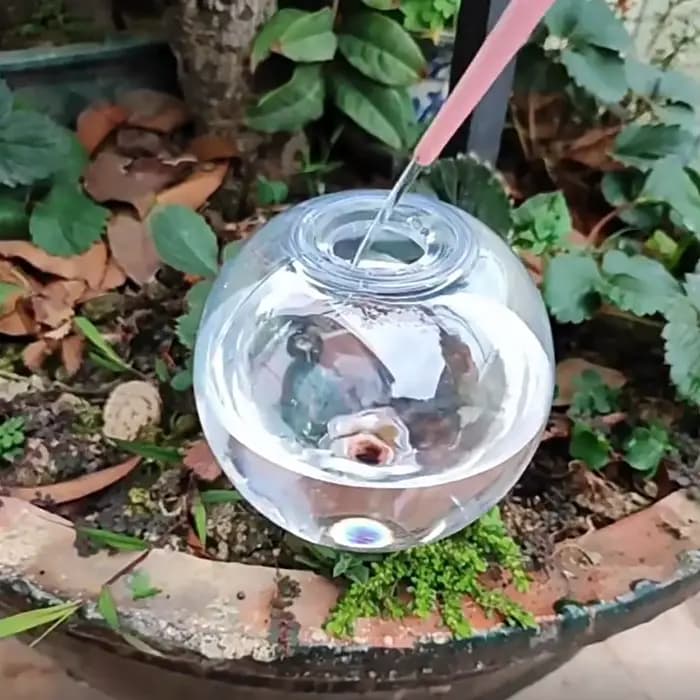 Système d'irrigation goutte à goutte automatique de 500ML, 1 à 6 pièces, ampoules d'arrosage automat