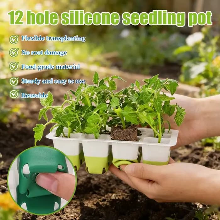 Kit de plateaux de semis réutilisables en silicone pour la germination des graines de plantes, plate