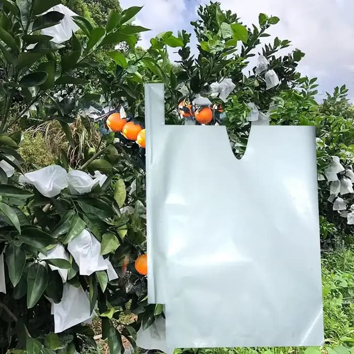 Sacs en papier de Protection des fruits, 100 pièces, pour raisins pêche, pochette contre les insecte