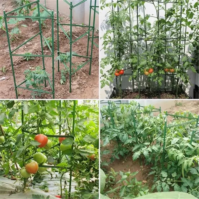 Piquets de plantes de jardin, 12 pièces, cages de plantes pour soutenir la croissance des plantes, c