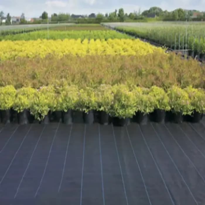 Gril agricole anti-enge orienté ferme, barrière contre les mauvaises herbes, polymères, paillis en p