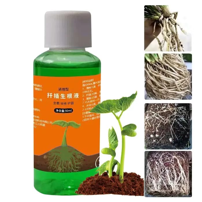 Solution d'enracinement pour roses, 50 ml, solution nutritive rapide et puissante pour l'enracinemen