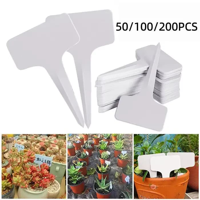 Étiquettes de plantes en plastique PVC blanc, marqueur de Type T, étiquette de jardin pour pépinière