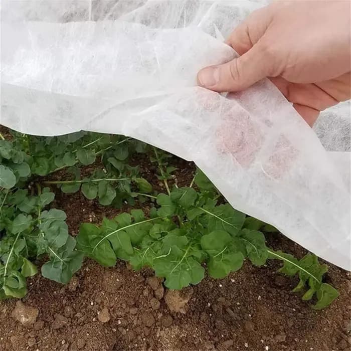 Juste de protection des plantes d'hiver pour jardin, couvertures en tissu non tissé, couvertures de 
