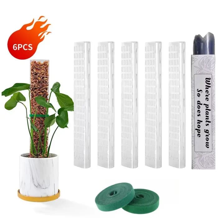 Poteaux de mousse plantes Support de plantes en plastique Transparent réutilisable intérieur bâtons 