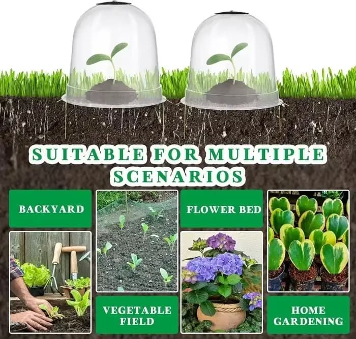 Mini cloches de serre en plastique réutilisables, 1/10 pièces, couverture isolante pour plantes de j