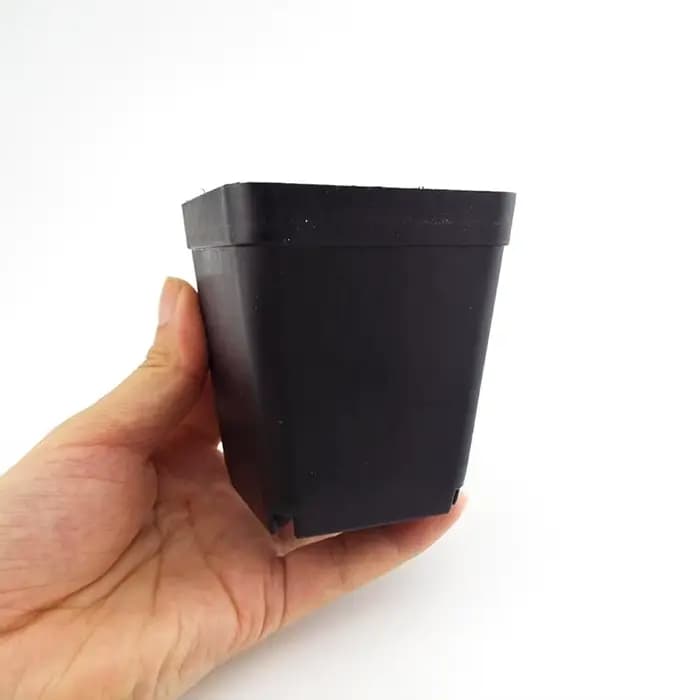 Lot de 6/12/24 pots de fleurs carrés noirs avec plateau, pour bureau, intérieur, extérieur, décorati