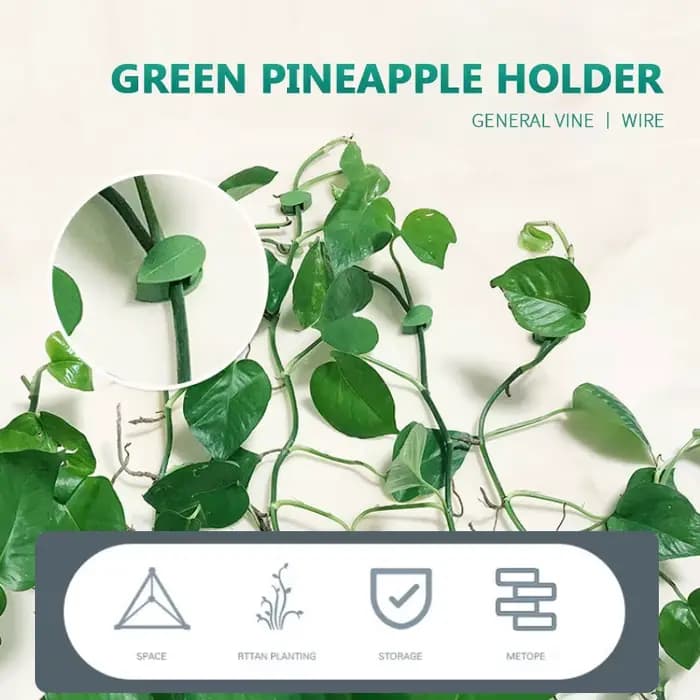 Porte-plante en forme de feuille, 10 pièces, plante verte, mur d'escalade, crochets collants, fixate