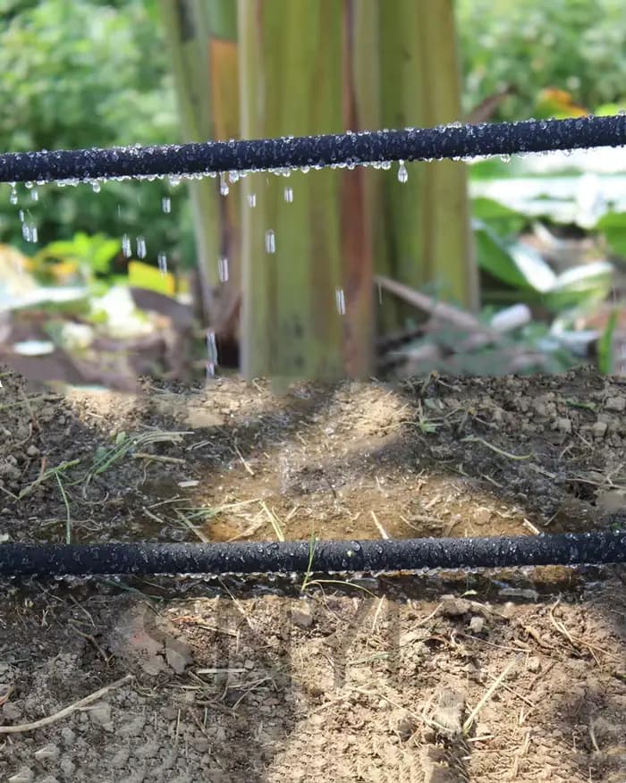 Tuyau d'arrosage Micro goutte-à-goutte 10m/20m, 4/8mm, Tube Anti-vieillissement, perméable, pour jar