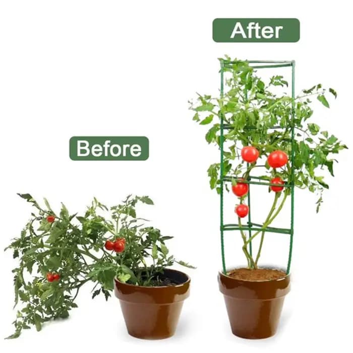 Piquets de plantes de jardin, 12 pièces, cages de plantes pour soutenir la croissance des plantes, c