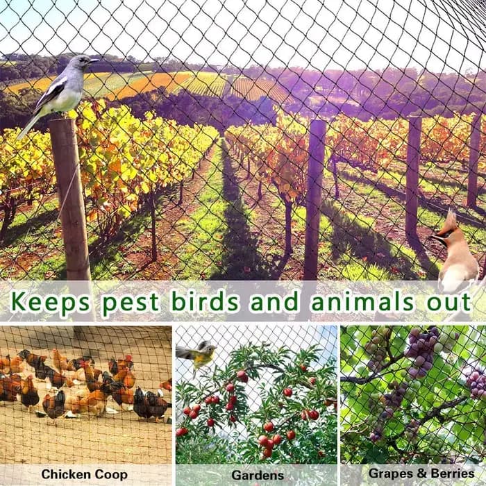 Filet Anti-oiseaux lourd, clôture et cultures de jardin, clôture de protection, maille Anti-oiseau, 