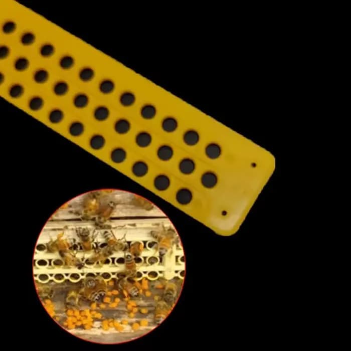 Piège à ruche en plastique, outils d'apiculture, collecteur, équipement d'apiculture, entrée, 5 pièc
