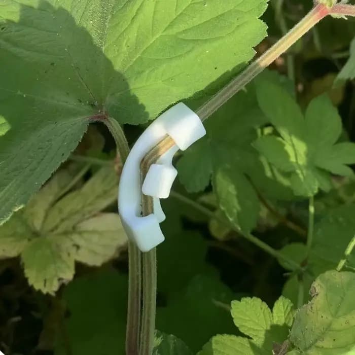 Cintreuses de plantes à 90 degrés, entraîneur de Manipulation de croissance, Tutors pour plantes, Cl