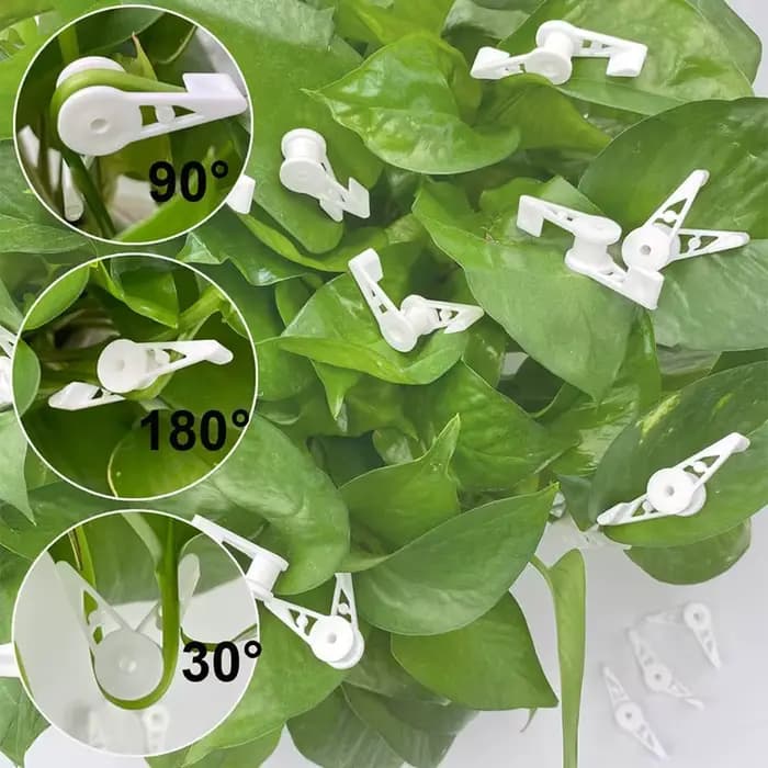 Cintreuse de plantes à 360 degrés, Supports réglables, Clip fixe pour arbres fruitiers et fleurs, fo