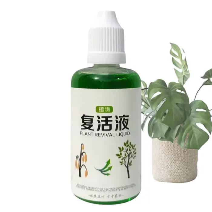 Agent d'enracinement succulent 50ml, engrais nutritif pour racines, Solution de croissance naturelle