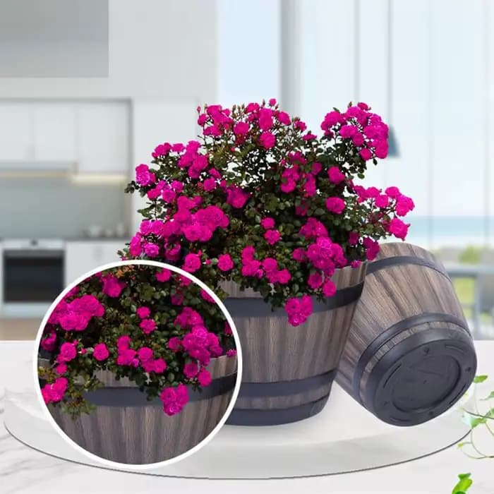 Pot de fleur en bois de baril de taille multiple, optique de document de brochure, grande capacité d
