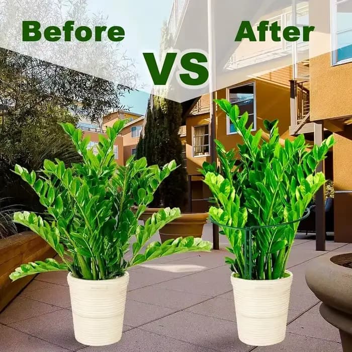Piquets de Support pour Plantes de Jardin, Cages et Supports de Pivoine d'Nik, Plante Verte, Bordure