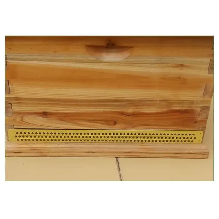 Piège à ruche en plastique, outils d'apiculture, collecteur, équipement d'apiculture, entrée, 5 pièc