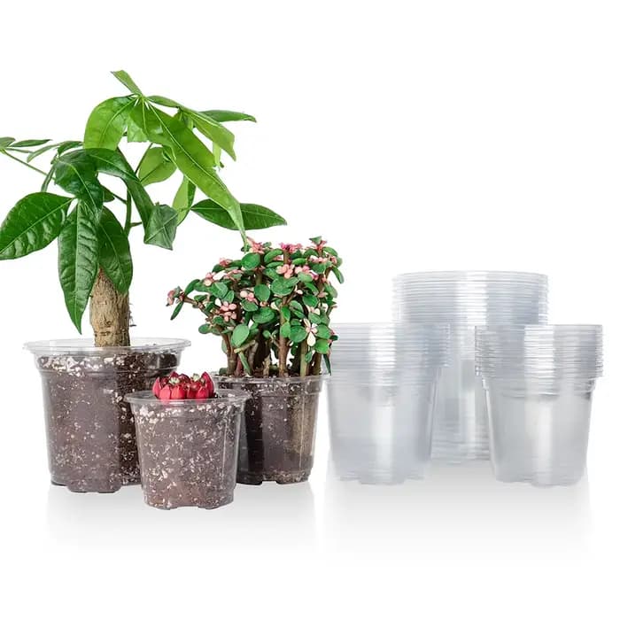 Pots de pépinière transparents de 3.5/4/5 pouces, jardinière en plastique Transparent avec trous de 