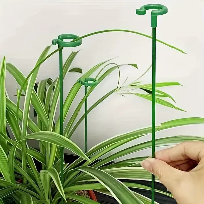 Support pour plantes en fibre de verre, 10 orchidées papillon, Support spécial pour Pot de fleur, ti