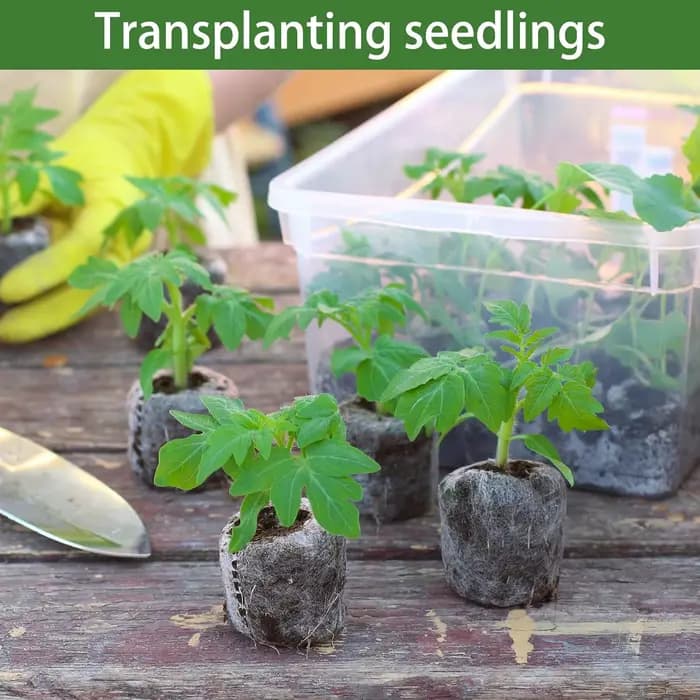 Sacs de culture de plantes Non tissées, 100 pièces, sacs de démarrage de graines, Pots de semis en t