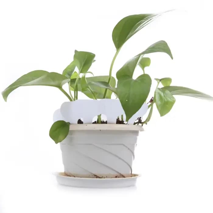 Étiquette pour plante de pépinière en plastique, 100 pièces, type T, pot de jardin, jardinières, éti