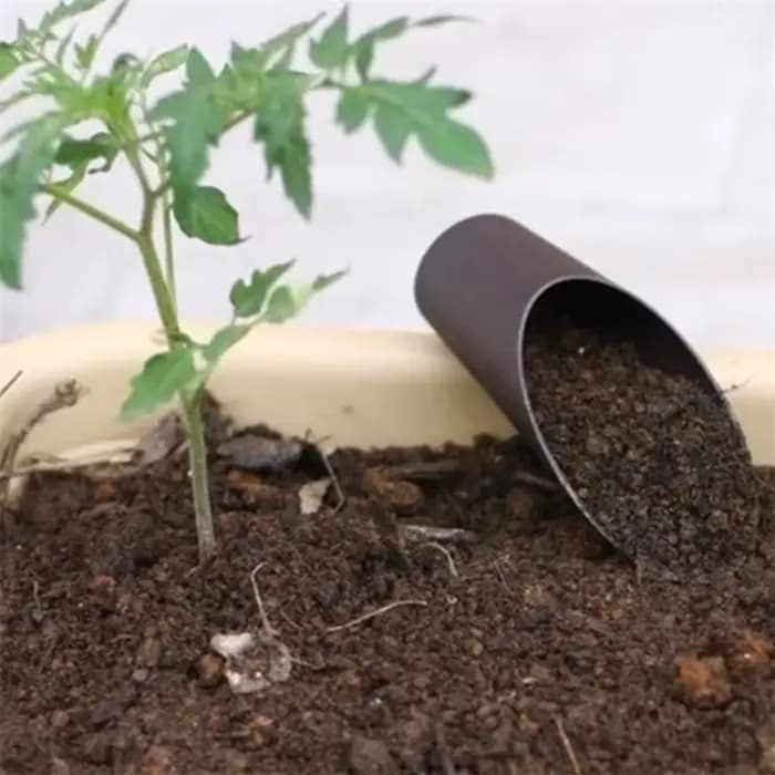 Pelle à bêche en plastique pour le sol, ventouse pour plantes succulentes, bonsaï, outil d'aide au j
