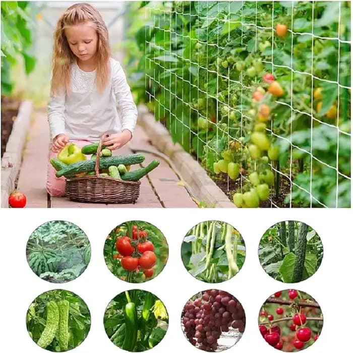 Filet d'escalade en Polyester robuste à Abrasion blanche, treillis de jardin pour plantes, tomates, 