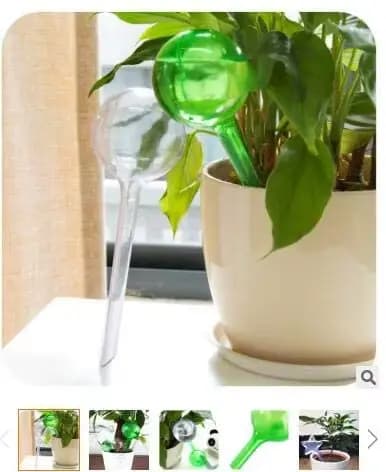 Ampoules d'arrosage automatique pour plantes, 5/12 pièces, Globes d'arrosage automatique, boules en 