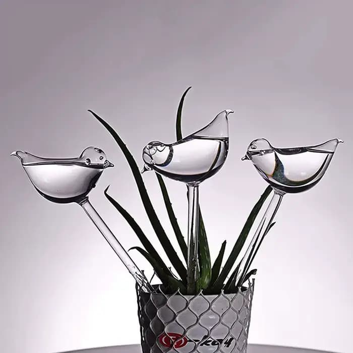 Globes d'arrosage automatique pour abreuvoir pour plantes, ampoules aquatiques claires souffées à la