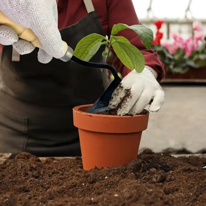 Houe de triangles de jardin incitée pour la plantation de légumes domestiques, houe de sillon de tri