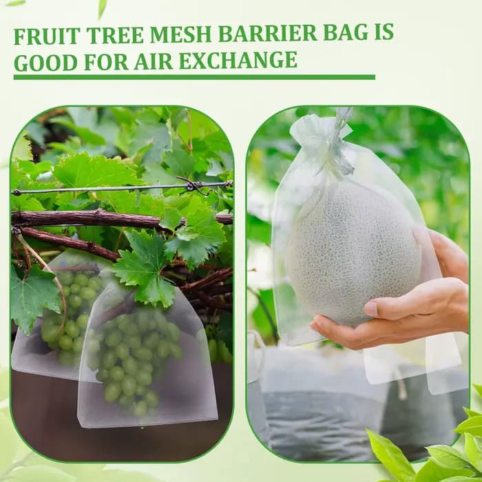 Sacs de Protection des Fruits, 10 à 100 pièces, sacs en filet pour fruits avec cordon de serrage, sa