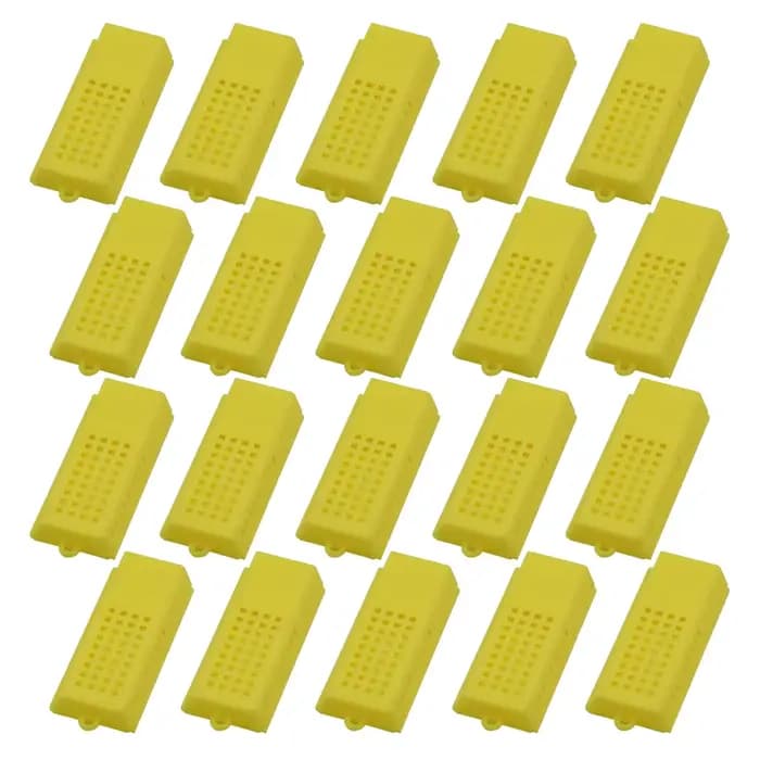 Grille de Transport pour apiculture, Cage en plastique, roi prisonnier, reine des abeilles, collecte