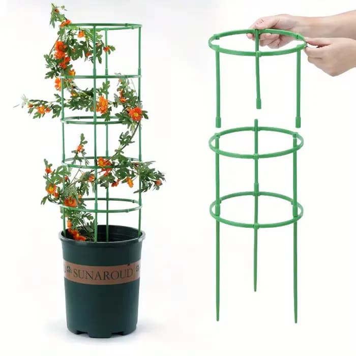 Support de plante en treillis pour le jardin, cages à tomate, degré de rouille, petit concombre, piq