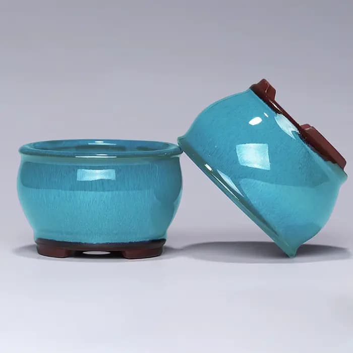 Pot de fleurs succulentes en céramique, Pots de plantes en céramique avec trous de Drainage pour reb