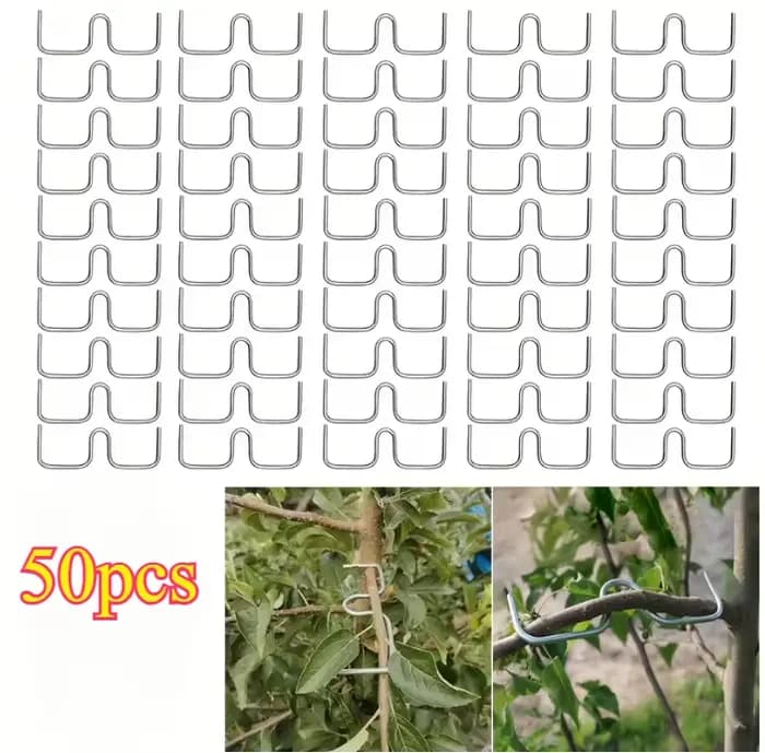 Kit d'outils de pliage de branches d'arbres fruitiers, 50 pièces, outils manuels de pliage de branch