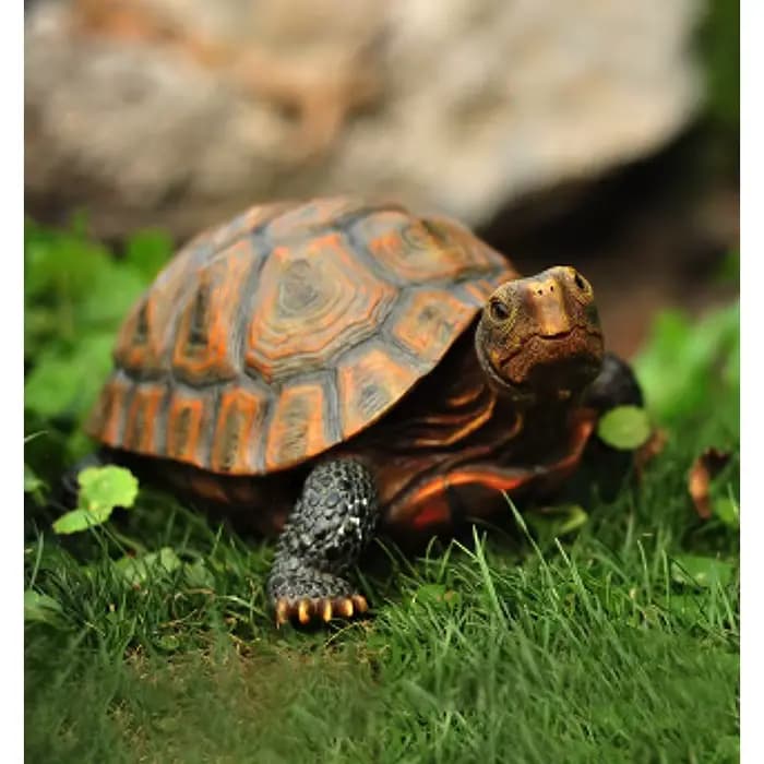 Bonsaï décoratif en résine, tortue extérieure, sécuritaires de jardin, poisson précieux, sculpture a