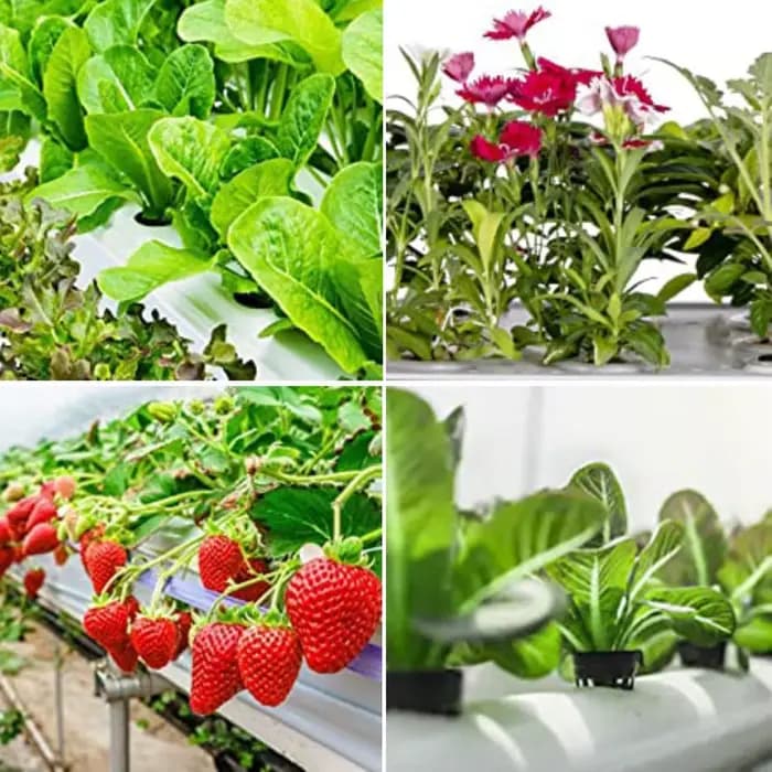 Filet de Pot hydroponique, 25 pièces, filet en maille sans sol, panier de plantes, légumes, tasse de