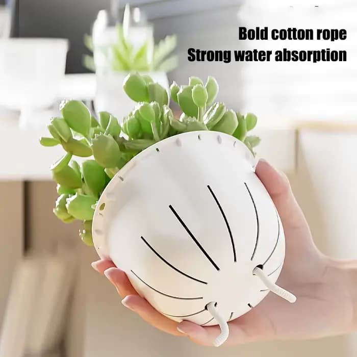 Pot de fleurs auto-arrosage automatique absorbant l'eau, Pot de fleurs Transparent Double couche en 