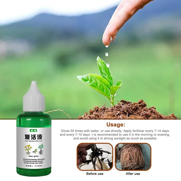 Solution nutritive pour plantes 50 ml, engrais liquide de résurrection des plantes, engrais pour gar