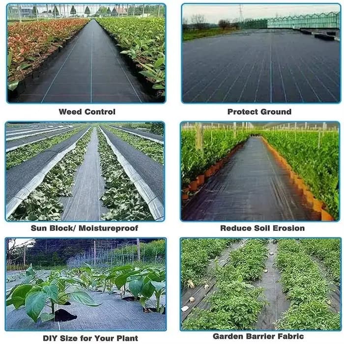 Tissu Anti-herbe agricole PE 10M/20M, tapis de barrière contre les mauvaises herbes orientés à la fe