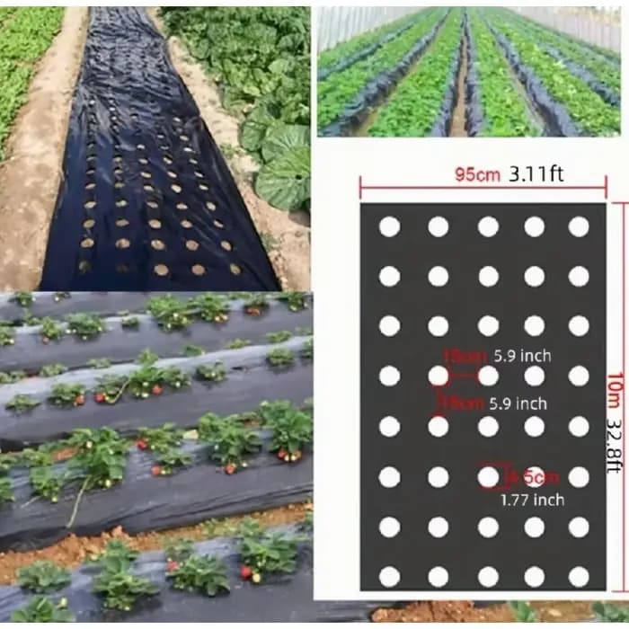 Cultivez vos légumes avec notre MulchFilm en plastique noir de haute qualité – Parfaite pour les ser